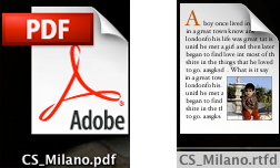 Comunicato Stampa PDF